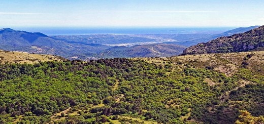 le Haut Var