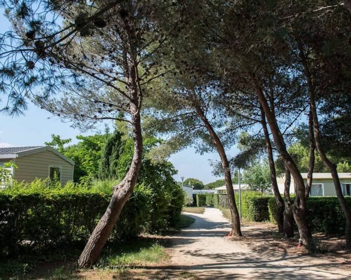 Petite histoire du camping