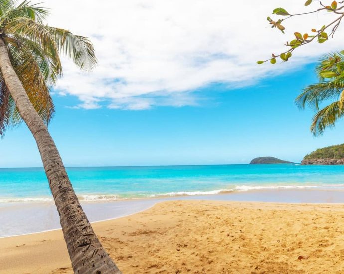 appartement en Guadeloupe pour les vacances