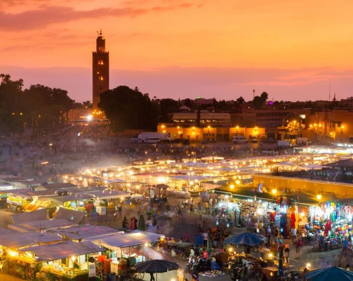 activités incontournables à faire en Afrique du Sud