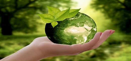 Conseils pour un tourisme durable